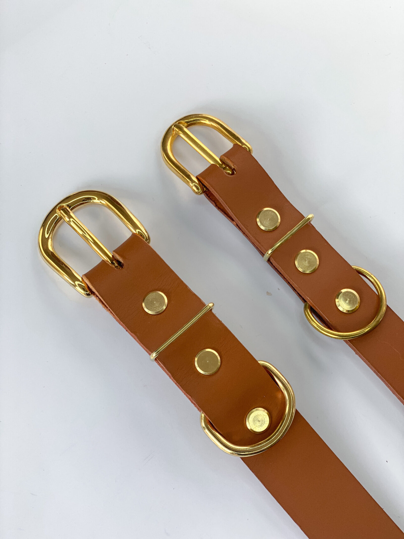 IMG_6071 Collar Classic Cognac
