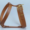 Harnais Classic Cognac