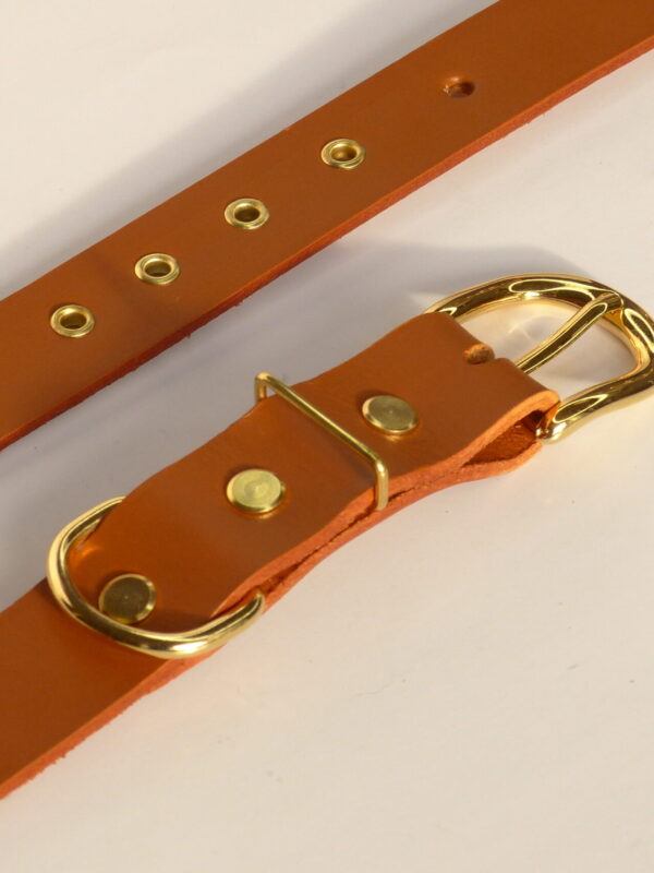 COLLAR CLASSIC COGNAC