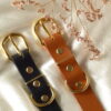 P1130253 Collar Classic Negro