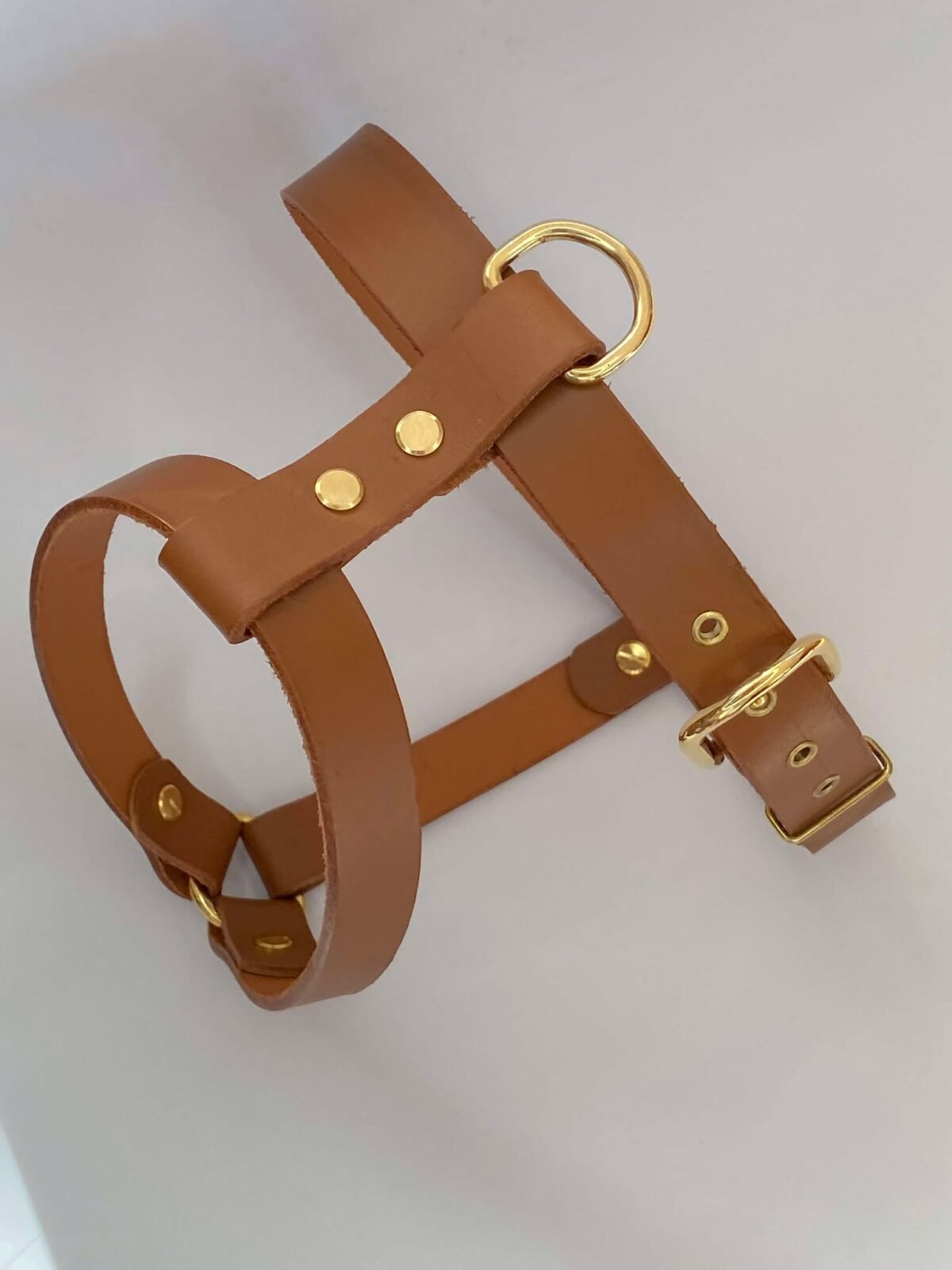 Harnais Classic Cognac