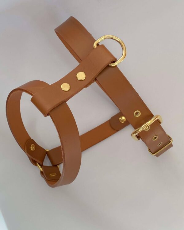Harnais Classic Cognac