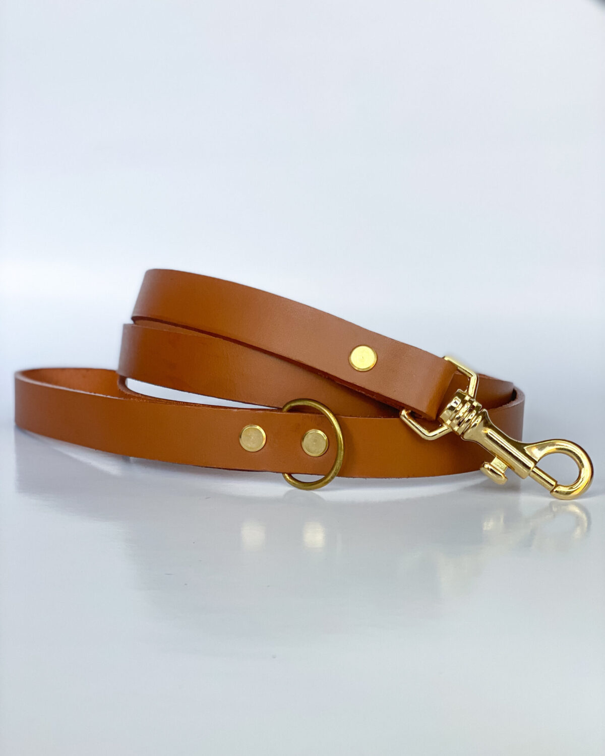 IMG_5636_jpg Laisse Classic Cognac