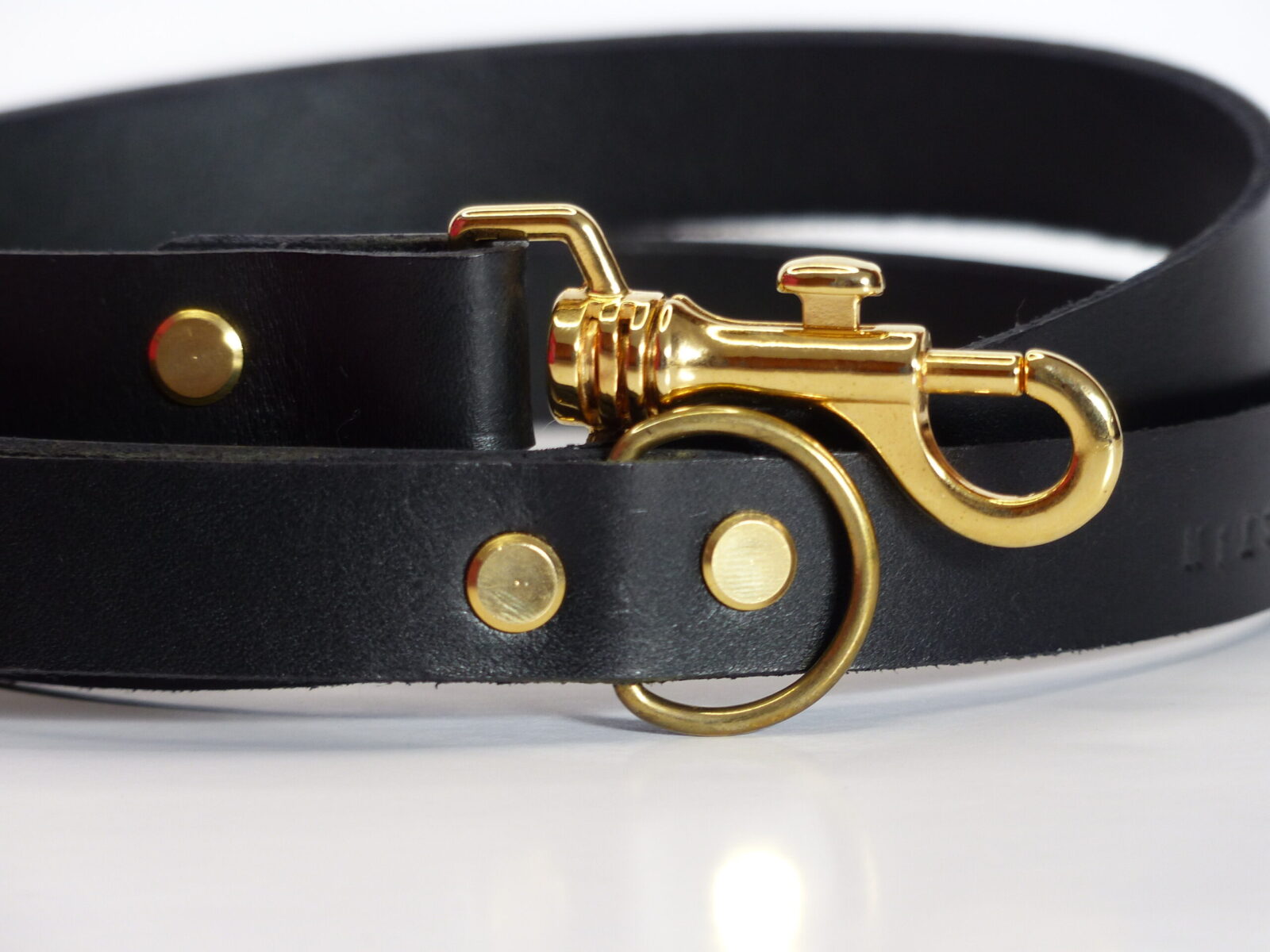 Laisse Classic Noir