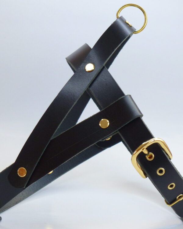 Harnais Classic Noir