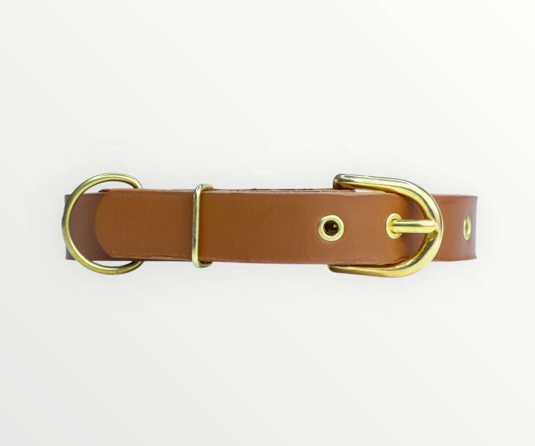 Photoroom_20250219_172628 Collar Classic Cognac