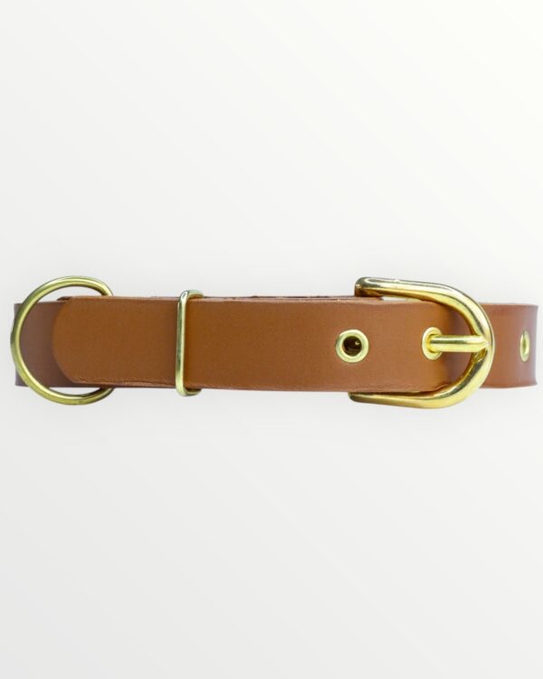 Collar Classic Cognac