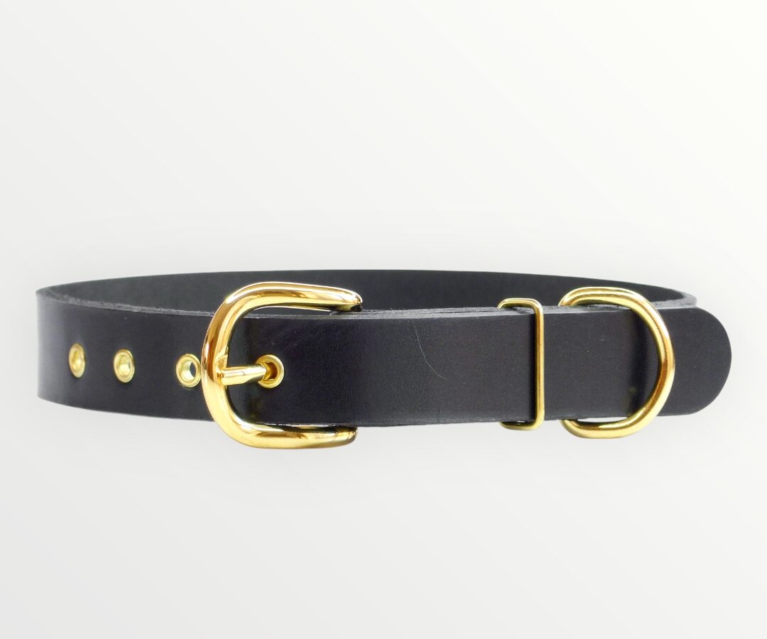 Photoroom_20250219_202009 Collar Classic Negro