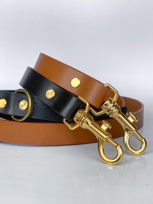 Laisse Classic Noir