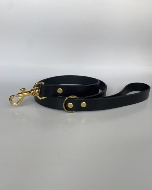 Laisse Classic Noir