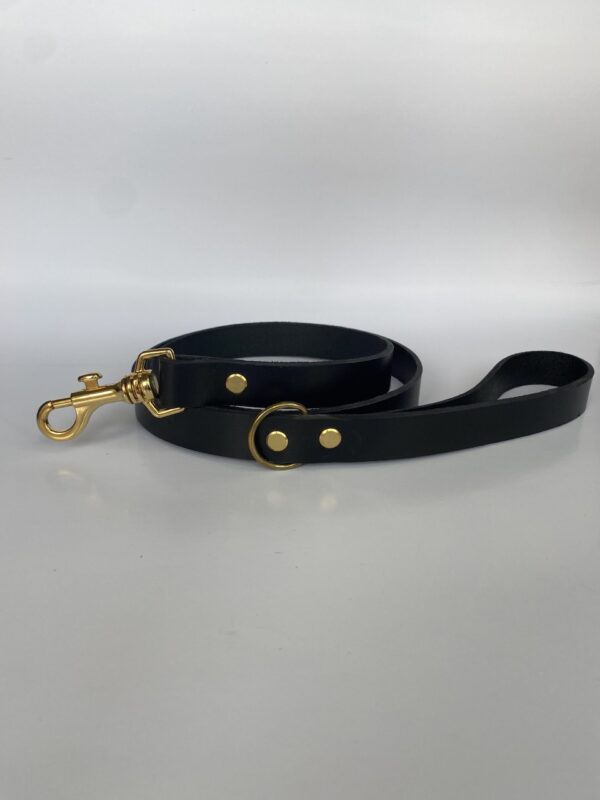 Laisse Classic Noir