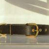 P1130155 Collar Classic Negro
