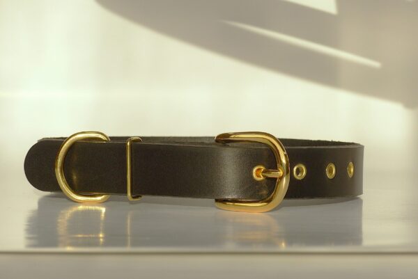 P1130155 Collar Classic Negro